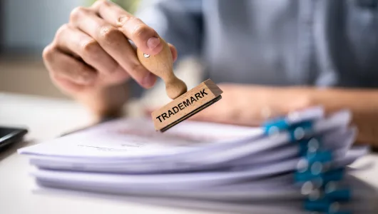 DOMESTIC TRADEMARK REGISTRATION (INDIA)