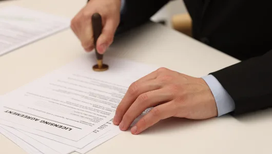TRADEMARK LICENSING AND ASSIGNMENTS